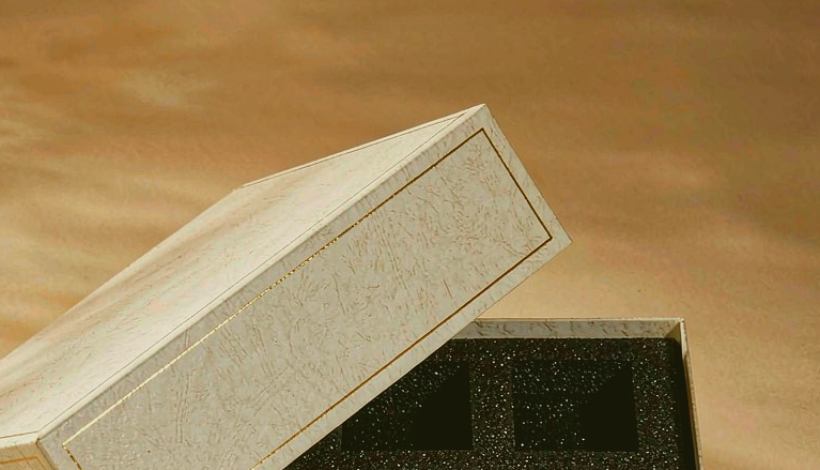 Carton Bulk Purchase Savings Vape packaging detail