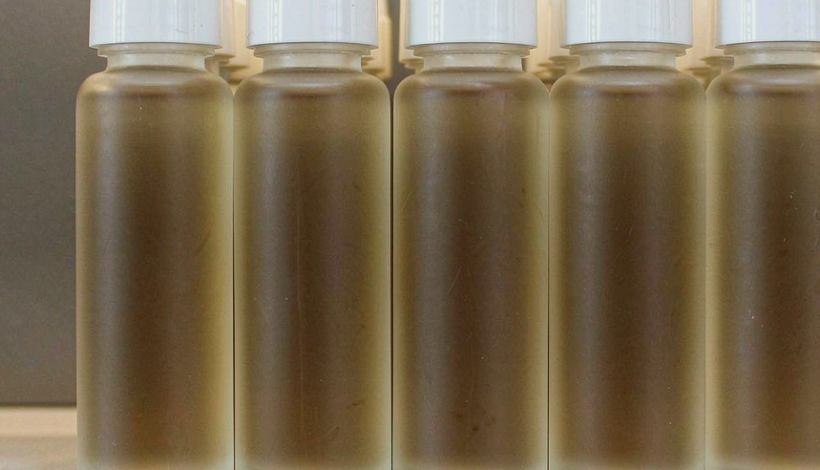 Carton Bulk Savings Vape Reordering: Quality Checks for Vape Shops — Carton Bulk Purchase Savings Vape Bulk
