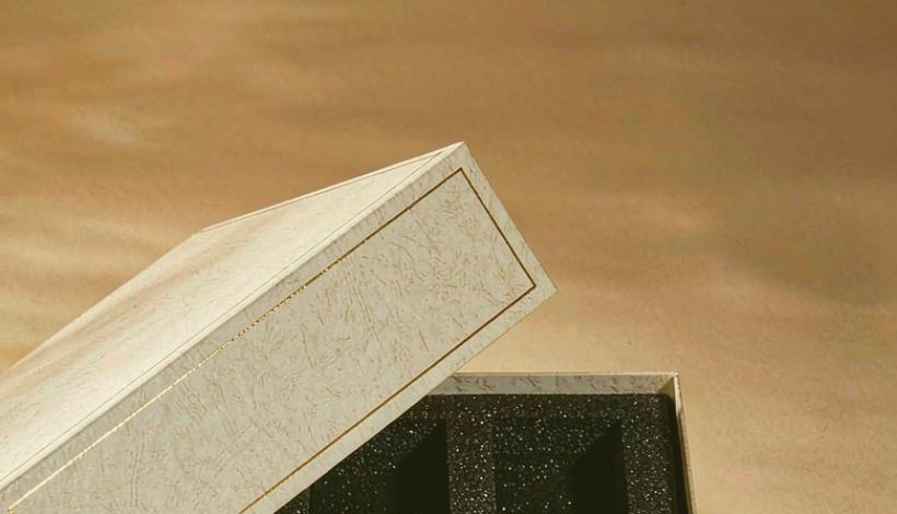 Carton Bulk Purchase Savings Vape packaging detail